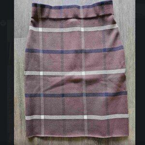 NWT Petite Ann Taylor Pencil Skirt